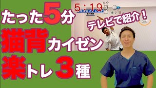 【たった5分】専門家が選ぶ猫背改善筋トレ３ステップ