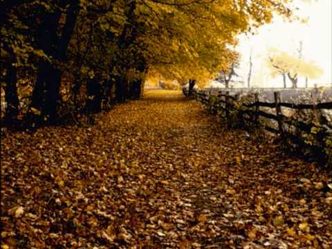 تلاوة للمقرئ أنس الغامدي لم أجد لها أي تعليق 