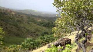 video  koinonia2.avi