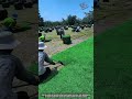 How Precision Turf Harvesting Cuts Grass Into Perfect Green Carpet