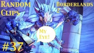 Random Clips #37 - Borderlands 2 - What Are You Touching Quasi