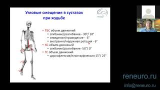 Биомеханика ходьбы: угловые смещения в суставах при ходьбе