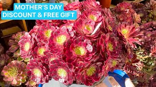 5/10/24  SUCCULENT FOR SALE | HAPPY MOTHER’S DAY 10% OFF & FREE GIFT | LELE: (408) 883 5495