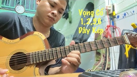 Độc Tấu Vọng Cổ Dây Kép 1,2,5,6, Văn Hảo