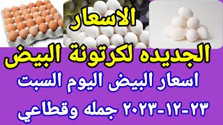 سعر البيض اسعار البيض اليوم السبت ٢٣-١٢-٢٠٢٣ جمله وقطاعي فى مصر