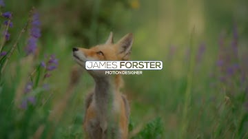 Minimal Lower Thirds After Effects Templates