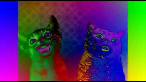 Preview 2 Numa cat effects (sponsored by preview 2 effects) in RGB to BGR