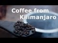 Coffee from Kilimanjaro [Tanzania 2013]