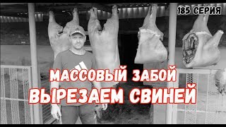 Массовый забой / Думаю стоит ли заниматься свиноводством дальше ? И вообще выгодно ли это.