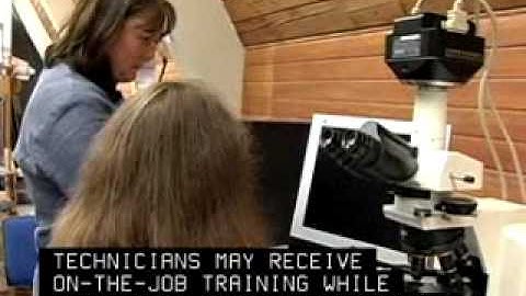 Museum Technicians Careers Overview