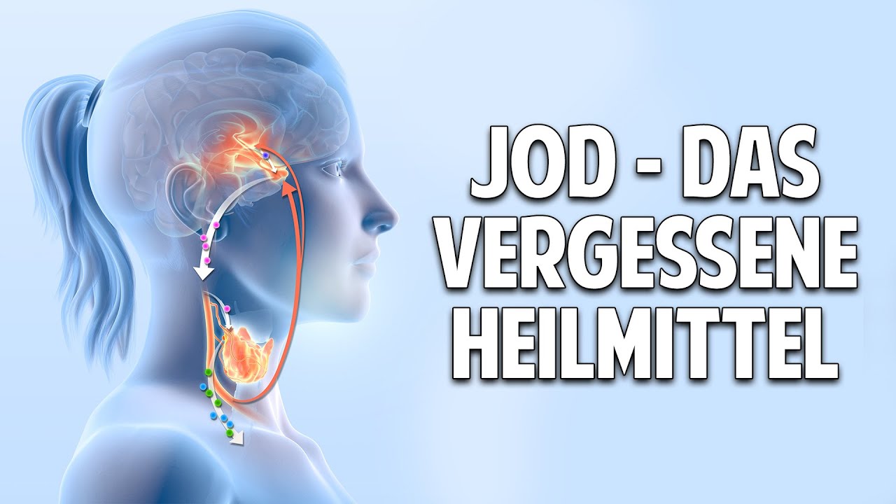 Jod Wiederentdeckung eines vergessenen Heilmittels   Das musst Du unbedingt ber Jodmangel wissen