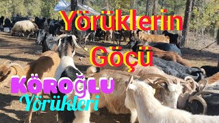 Yörüklerin GöçüKöroğlu Yörükleri