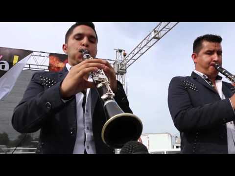 Banda La Movida - La Culebra