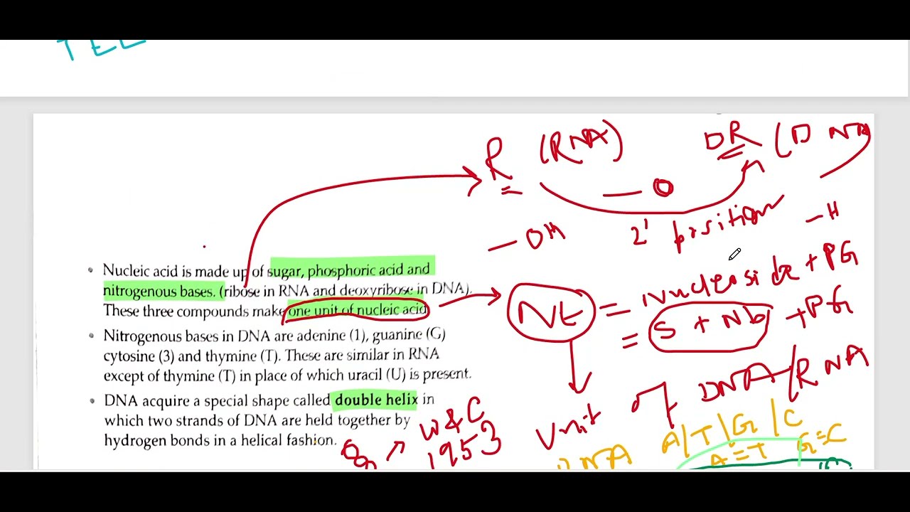 CHEMISTRY- 07 (BIOMOLECULES) 