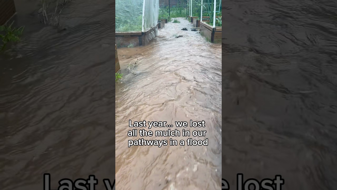 Uploads from From Seed to Spoon Garden Planning App