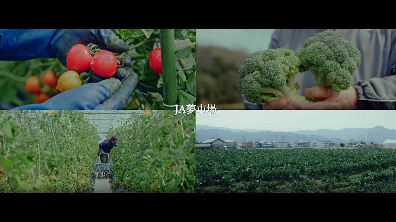 徳島県「阿波市」の産地直売所「JA夢市場」