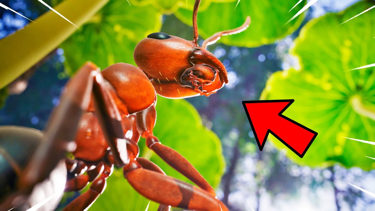 ¡CREO mi propia COLONIA de HORMIGAS AS3S1NAS!🐜​ Empire of the Ants