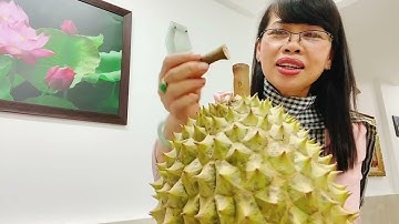 CÁCH NHẬN BIẾT SẦU RIÊNG RI6 ĐÃ CHÍN| SẦU RIÊNG CHÍN TỰ NHIÊN THƠM NỨC MŨI| QUÝ MỘC 0919977098