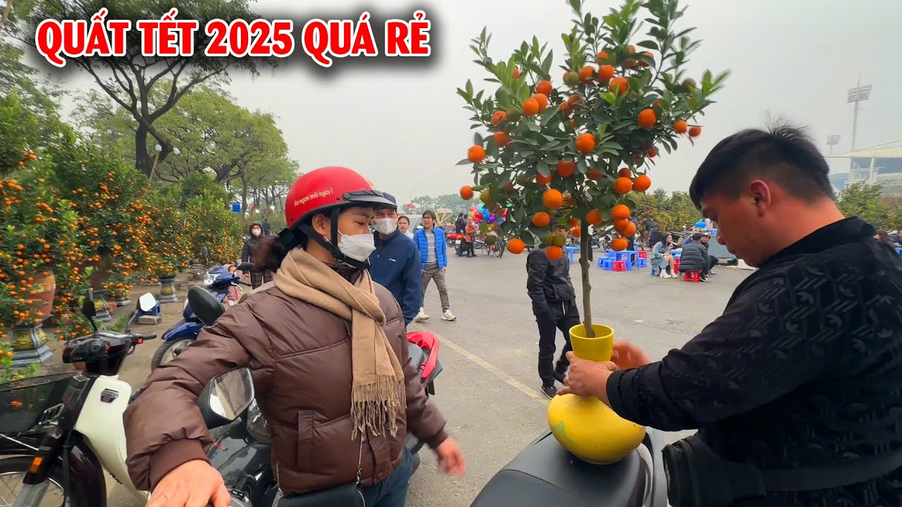 Chợ hoa tết 2025 quá rẻ, tập nập khách đi mua cây cảnh chơi tết 