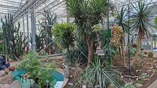 Pavasara galamērķis - Salaspils botāniskais dārzs! Vai tur ir ko redzēt?