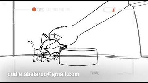 Adobe Animate Showreel