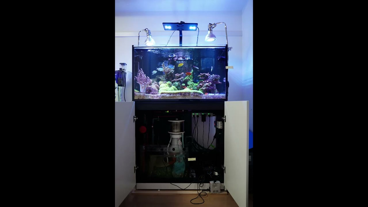 OCTO VarioS 6 循環ポンプ　オクト　reefer170配管付 OCTO VarioS 6 循環ポンプ オクト reefer170配管付 OCTO VarioS 6 循環