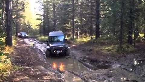 Crowsnest Pass plane crash site.