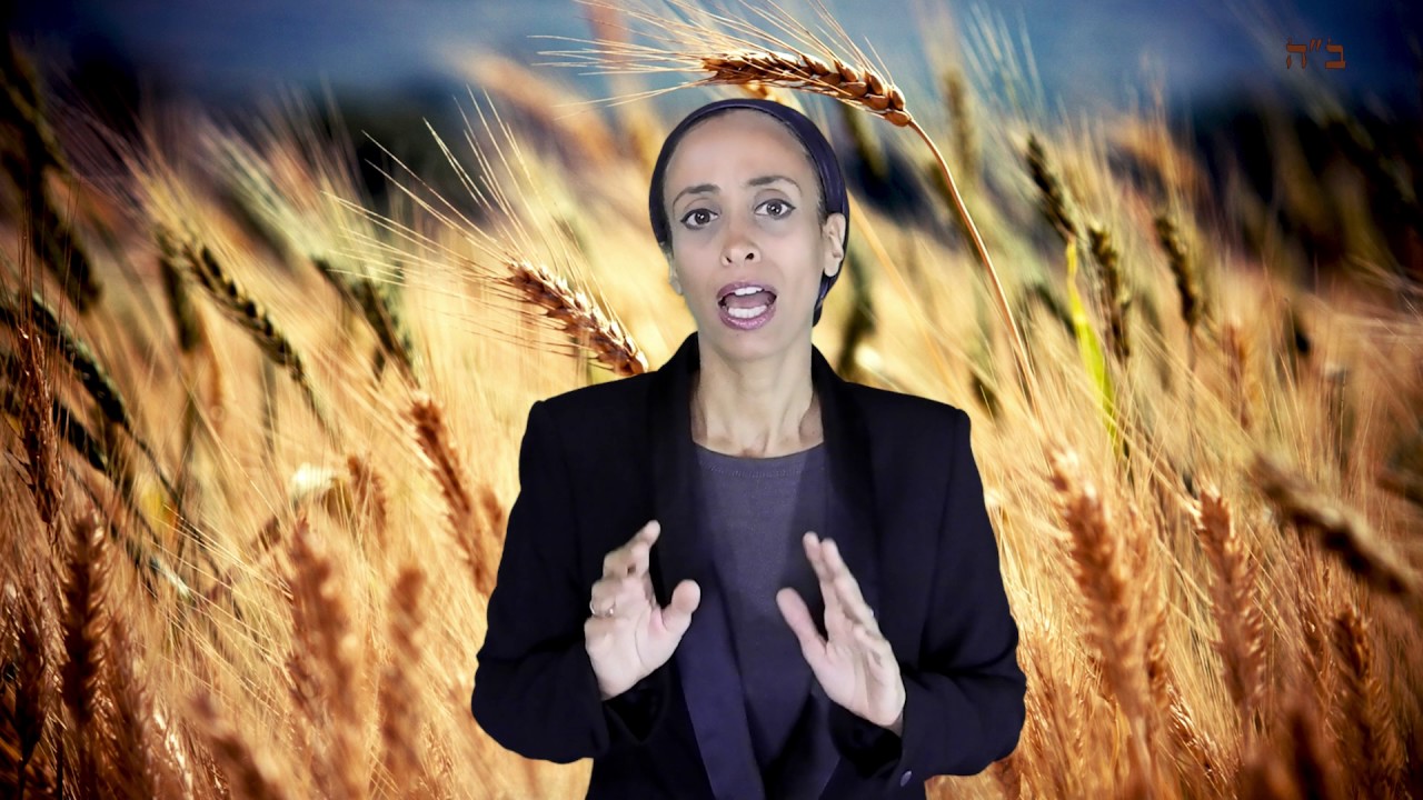 מהי כמות הקמח הנדרשת להפרשת חלה?