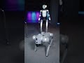 Why Robots Are Learning From Donkeys