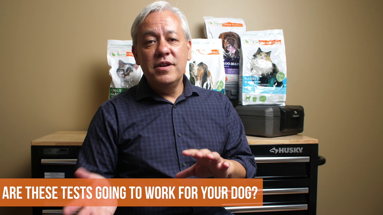 real ingredients in cigarettes The Food Fix : Will these tests work for your dog? - Part 5