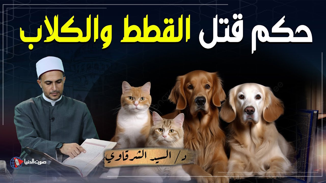 ما حكم قتل القطط أو الكلاب؟ ومتى يجوز قتلها؟