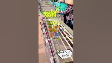 Fruit Size Grading Machine
