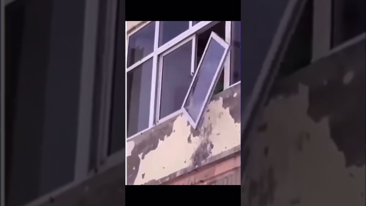 Guy knocks nest down and his window falls off