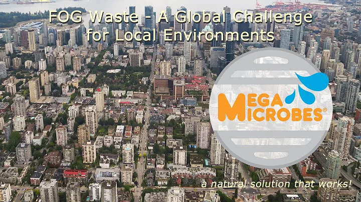 Fats, Oil & Grease - A Global Challenge for Local Environments