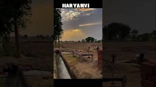 Haryanvi Culture Haryanvi Status