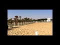 أنا بدوي و ريحتي بن و بهار 
