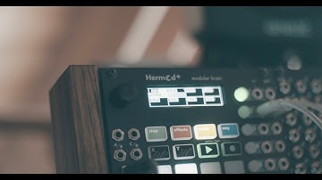 10-07-23 Live Ambient Modular Synthesizer performance