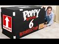 Unboxing Poppy Playtime Chapter 6 Mystery Box 🧩