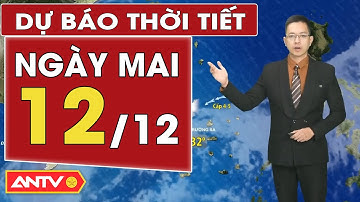 Dự báo thời tiết mới nhất ngày mai 12/12: Bắc Bộ mưa rải rác, Trung Bộ mưa dông | ANTV