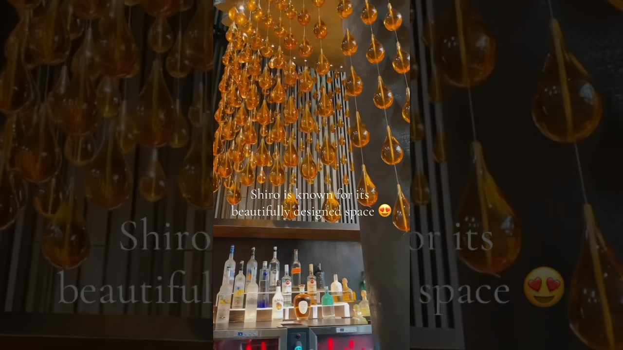 Unlimited Sushi? Count me in 🫶🏽 