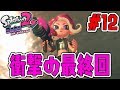 感動の最終決戦!!イカ世界の秘密とは?スプラトゥーン2追加シナリオ実況#12【オクトエキスパンション】