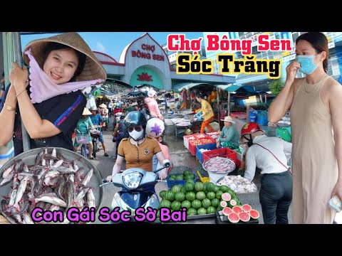 Video Gặp Con Gái Sóc Sờ Bai quá xinh dễ thương ở Chợ Bông... - youtube