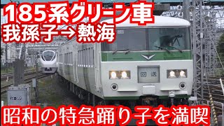 【40年の歴史】昭和の伊豆特急185系引退間近、窓が開くグリーン車に乗ってきた