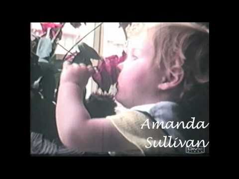 Amanda Sullivan Photo 34