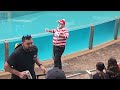 Tom the seaworld mime holiday special