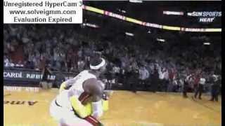LeBron James tackles fan