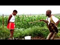 Ukweshelwa Kwentombi NTO !! ( how to approach a virgin) -    || Short Film (Zulu Movie)
