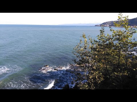 Black sea Coast