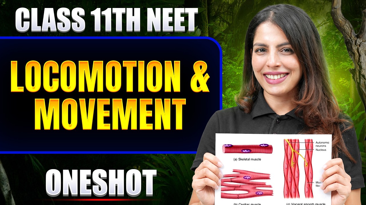 Locomotion & Movement in ONE SHOT | All Concept & PYQ | Basic to ...