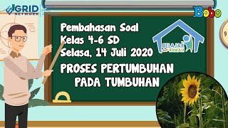 Pembahasan Soal TVRI SD 4-6  Selasa 14 Juli 2020  Proses Pertumbuhan pada Tumbuhan #BelajardariRumah